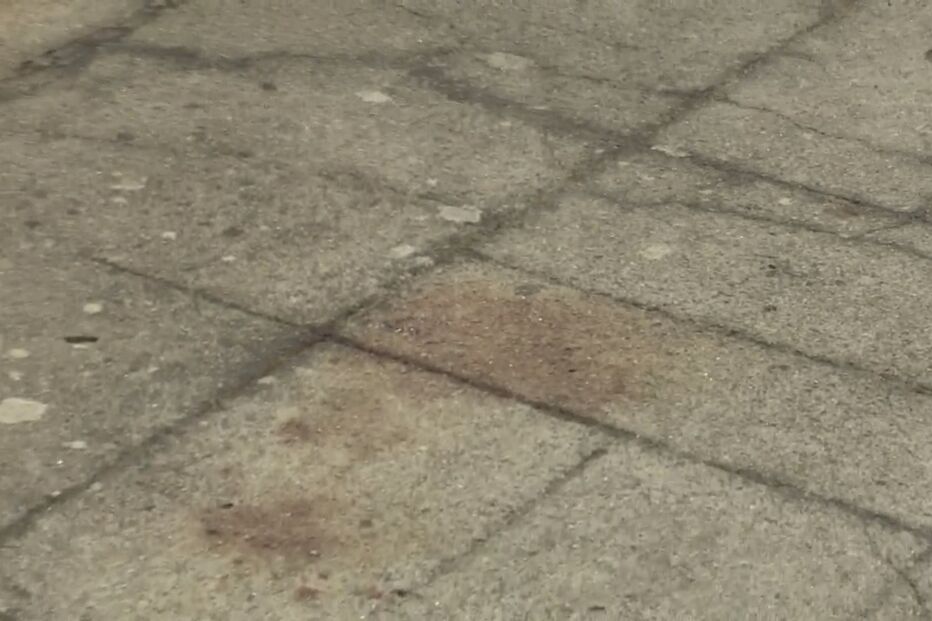 17-08-2016_13_23_37 00E0661E.jpg