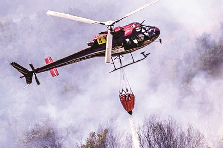 incendiário, fogo, incêndios, Vila Pouca de Aguiar, Tondela