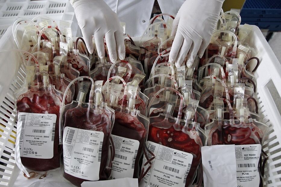 DIAP, Castro, Luís da Cunha Ribeiro, David Duarte, Sócrates, ex-ministro de Lula da Silva, sangue, luxo, máfia