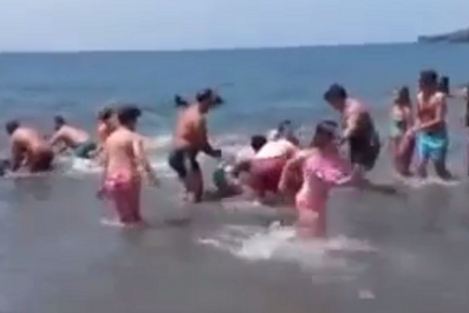 turistas, salvamento, baleias, animais, Lanzarote, Espanha, insólito