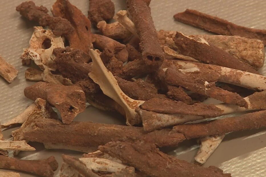 ossos, moçambique, Tete