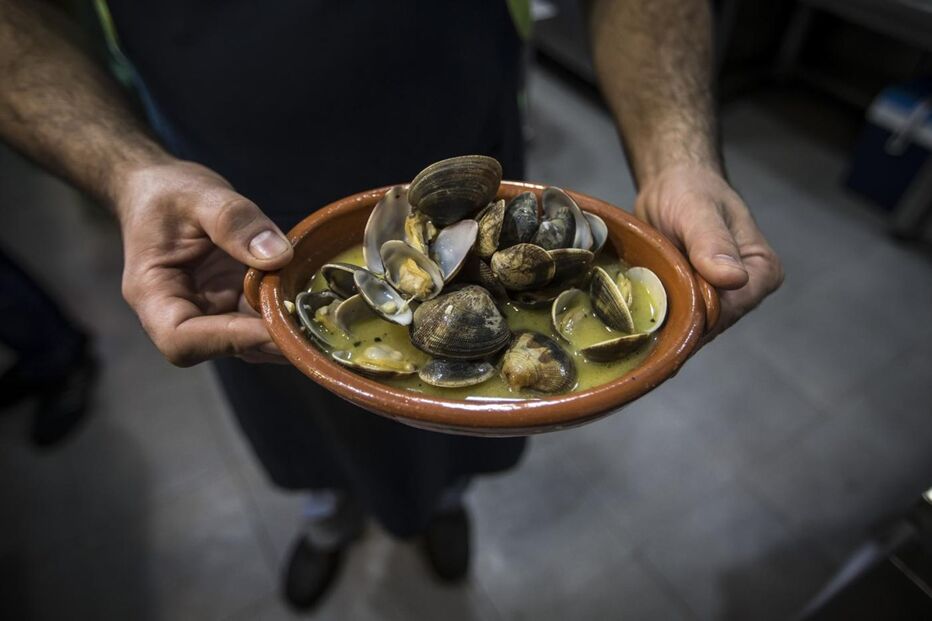 Samouco, Alcochete, Seixal, Sítio das Hortas, Câmara de Alcochete, Tejo, Polícia Marítima, Guarda Nacional Republicana, ambiente