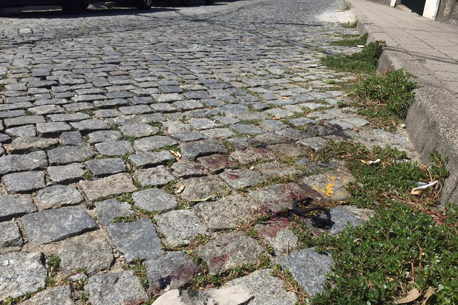 Baguim do Monte, Gondomar, Soqueira, Crime, Morte