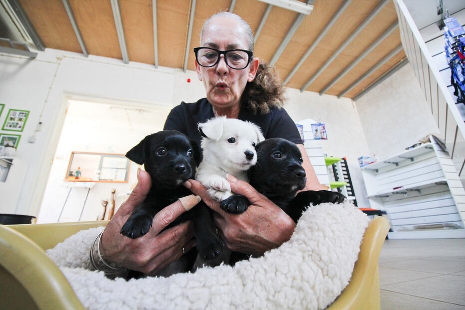 28-08-2016_23_04_42 12299497.jpg