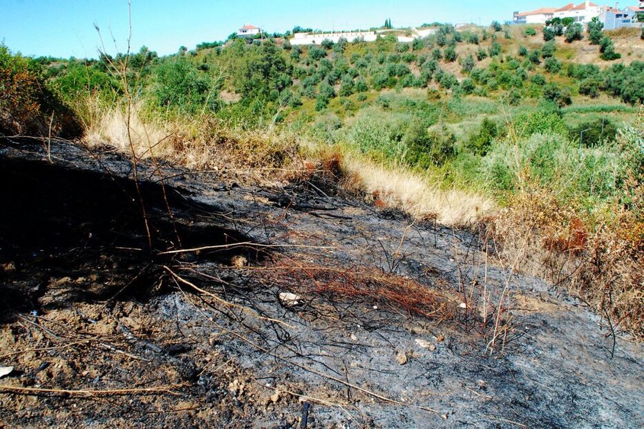 28-08-2016_23_56_30 santarem.jpg