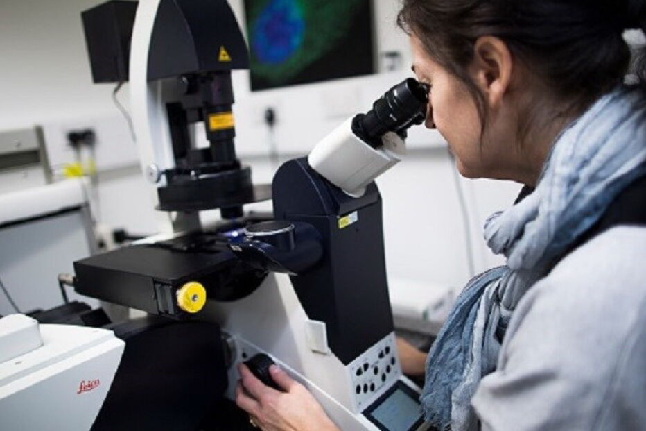 Centro de Neurociências e Biologia Celular, Faculdade de Farmácia da Universidade de Coimbra, Universidade de Coimbra, Molecular Pharmaceutics, Olga Borges, Universidade de Genebra, Filipa Lebre, Faculdade de Farmácia da UC, saúde, ciência e tecnologia, medicina preventiva