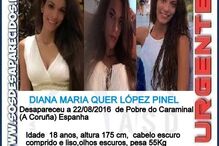 05-09-2016_01_35_25 Diana Quer Cartaz em Português.jpg