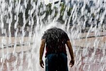 Temperaturas, sol, calor, água, protetor solar, fruta, óculos, meteorologia