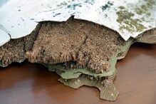 Malaysia Airlines, presidente do Instituto de Aviação Civil de Moçambique, Maputo, crime, lei e justiça, Moçambique, economia, negócios e finanças, política, acidentes, desastres, avião, aviação