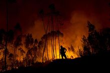 fogo, incêndio, florestal