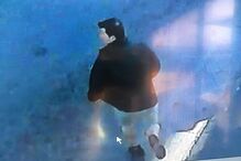 Brasil, violação, imagens, vídeo, agressor, redes sociais, Luana Slomski