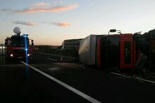 14-09-2016_11_19_10 IMG_3601.JPG