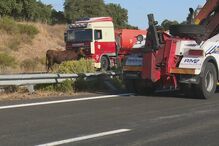 14-09-2016_12_45_08 00E48315.jpg