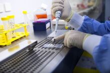 Consenso Estratégico, Portugal, saúde, doenças, investigação médica, imunoterapia, cancro