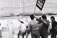 crazy horse, lisboa, espetáculo, 1979