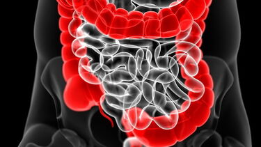 Associação de Apoio ao Doente, Cancro Digestivo, Germano de Sousa, Saúde, presidente da Europacolon Portugal, Vítor Neves, Portugal, Ministério da Saúde, Associação de Doentes, saúde, questões sociais