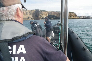 Polícia Marítima, Tavira, apreensão, peixe, Autoridade Marítima Nacional, crime, lei e justiça, polícia