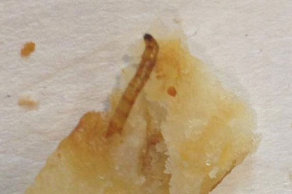 05-09-2016_10_02_29 chip1.jpg