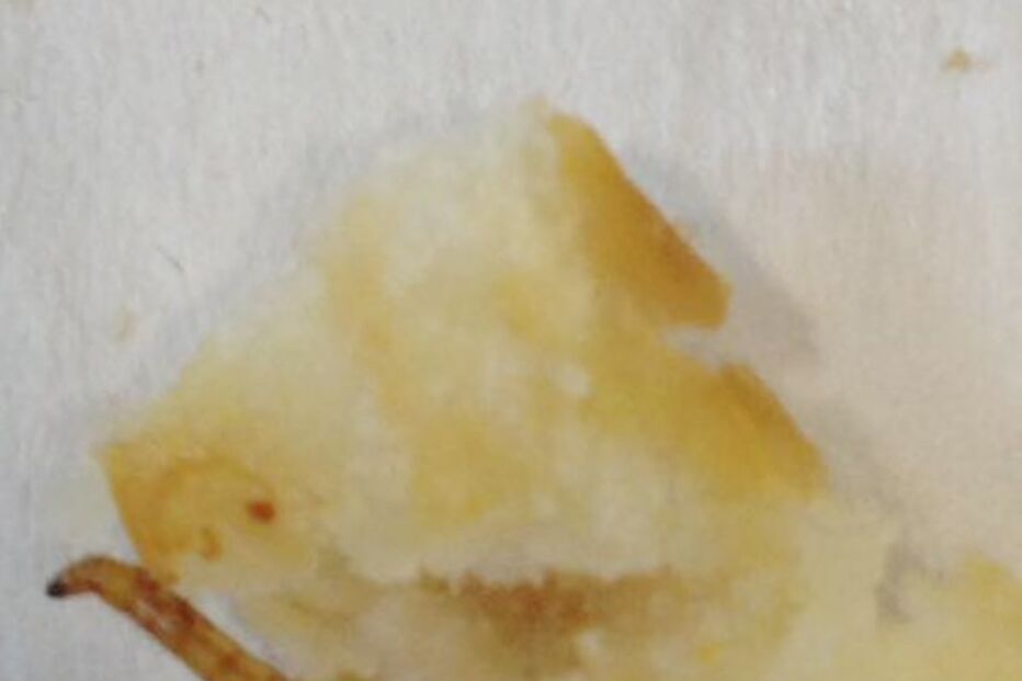 05-09-2016_10_02_29 chip2.jpg