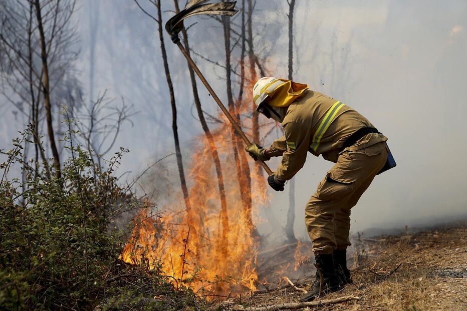 Monchique, incêndiário, prisão preventiva, Proteção Civil, Guarda Nacional Republicana, Polícia Judiciária, PJ