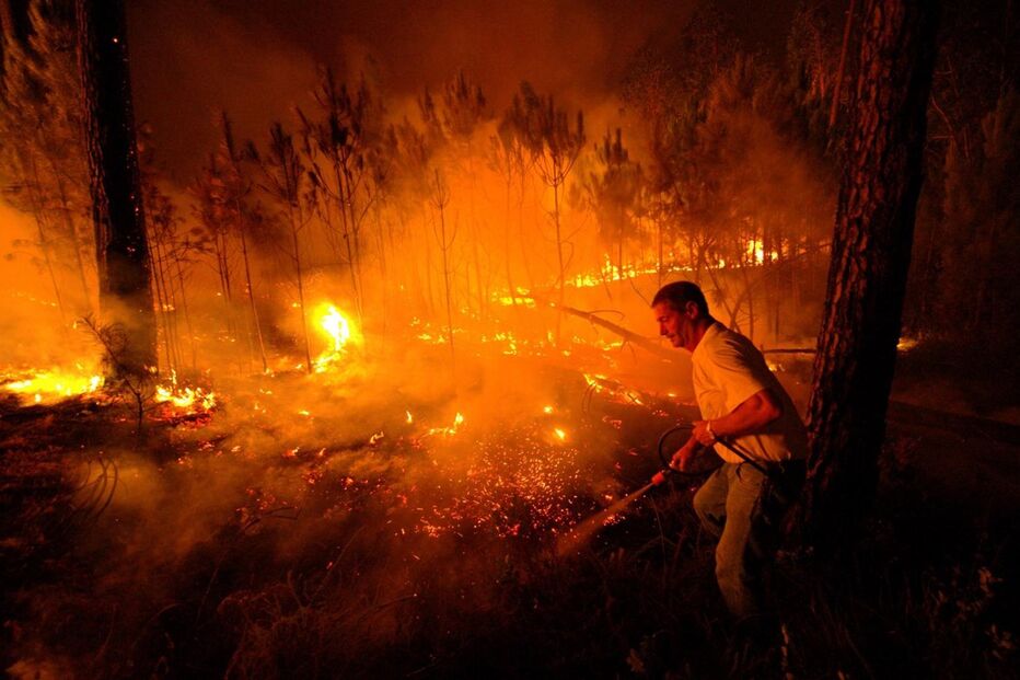 Colmeias, Leiria, incêndio, Caranguejeira, acidentes e desastres, incêndios