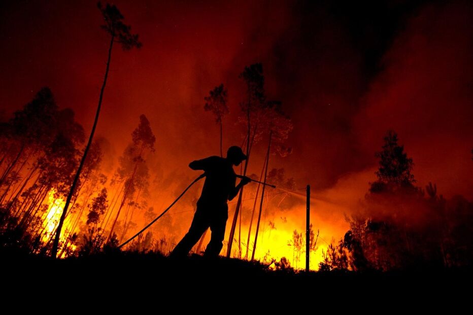 Colmeias, Leiria, incêndio, Caranguejeira, acidentes e desastres, incêndios