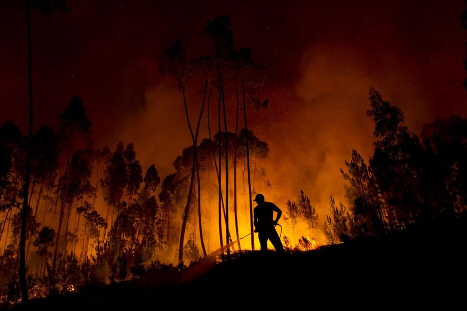 fogo, incêndio, florestal