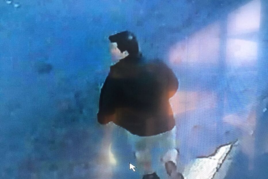 Brasil, violação, imagens, vídeo, agressor, redes sociais, Luana Slomski