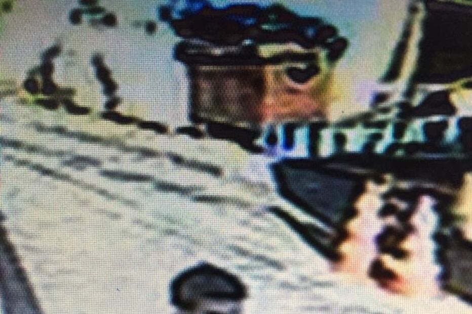 Brasil, violação, imagens, vídeo, agressor, redes sociais, Luana Slomski