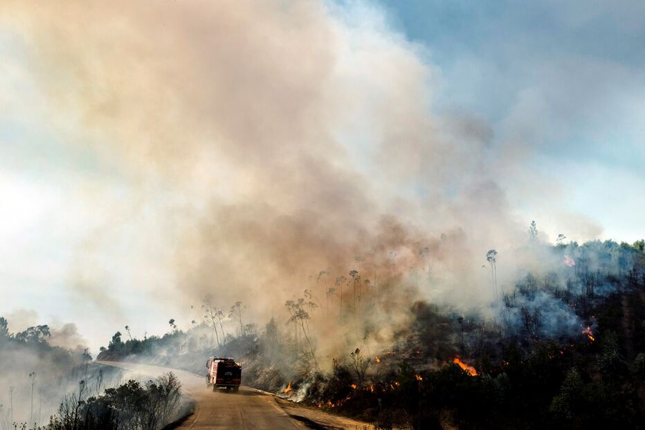 Vila Meã, questões sociais, incêndios, madeireiro, fogo