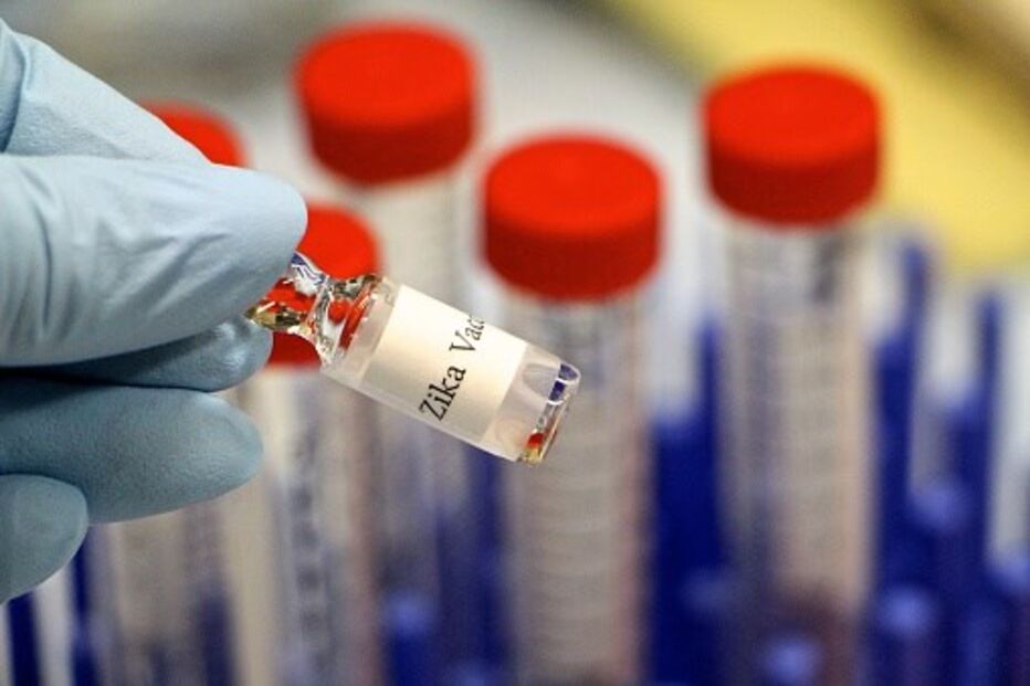 Zika, Brasil, Procurador-Geral, Aborto, Grávidas, Microcefalia, Vírus, Rodrigo Janot, Bebés, Supremo Tribunal Federal