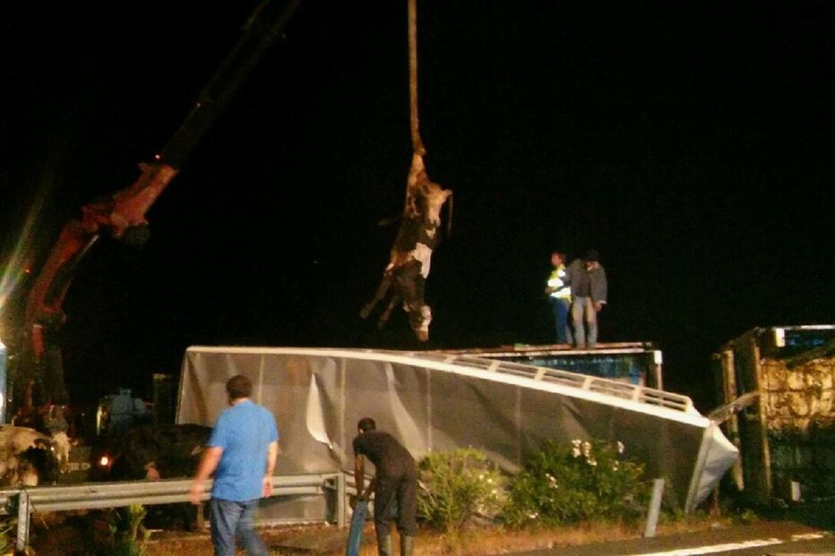 14-09-2016_11_19_05 IMG_3598.JPG