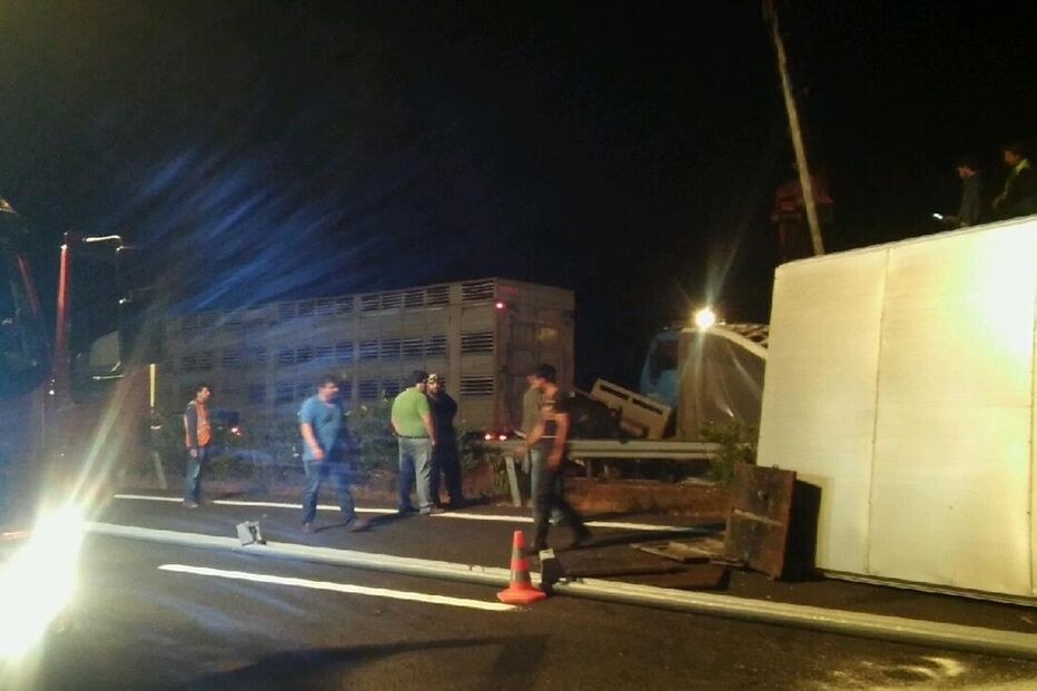 14-09-2016_11_19_07 IMG_3599.JPG