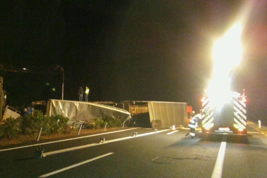 14-09-2016_11_19_08 IMG_3600.JPG