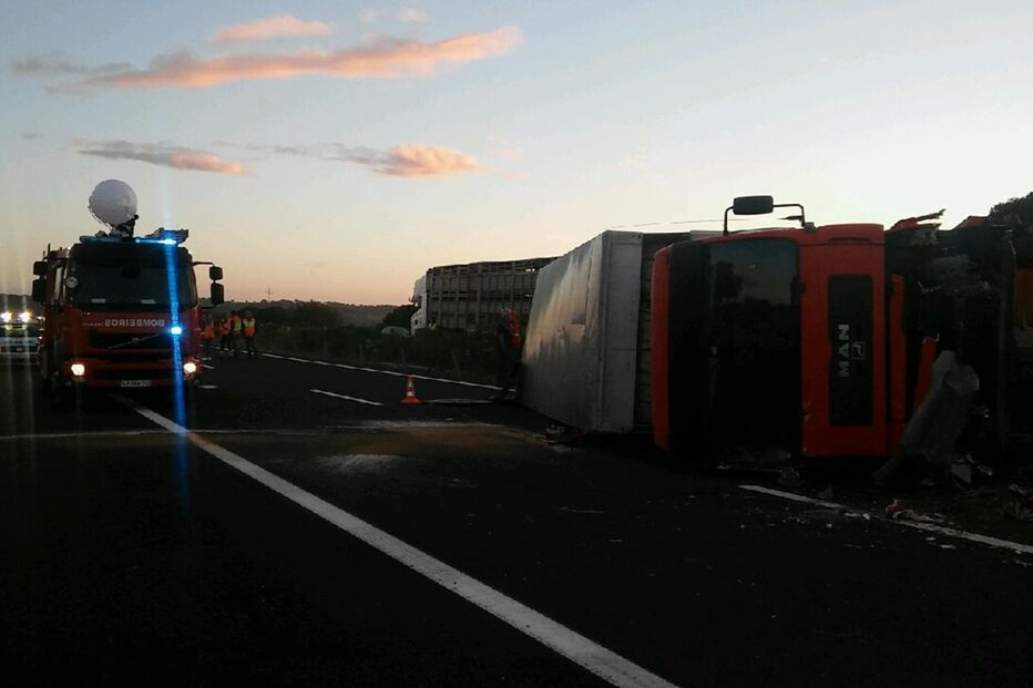 14-09-2016_11_19_10 IMG_3601.JPG