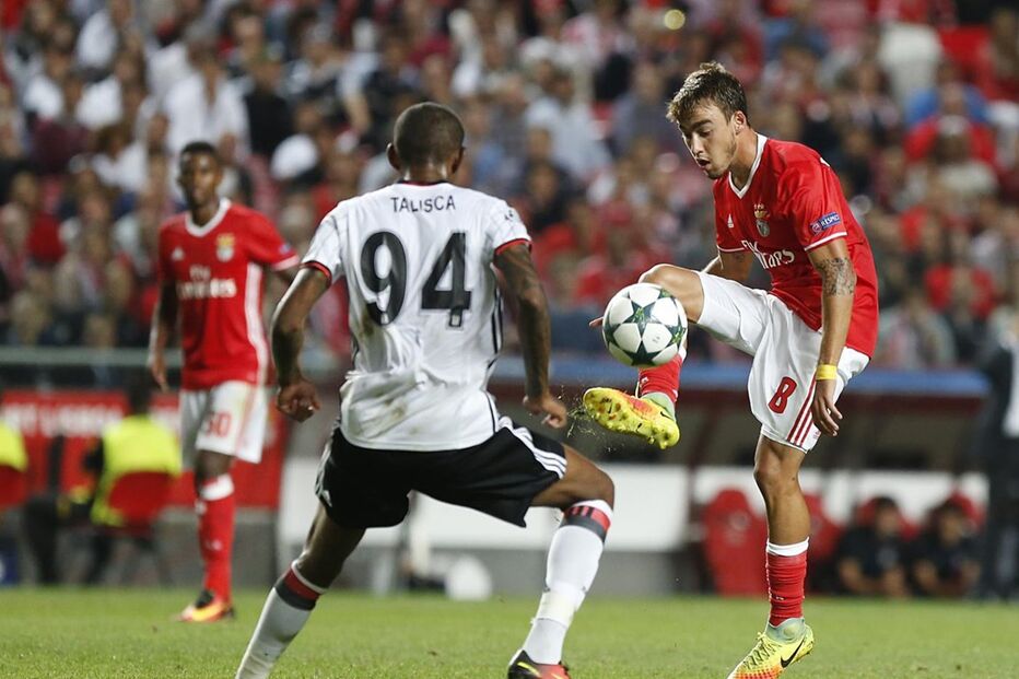 Benfica, Liga dos Campeões, Talisca, Gonçalo Guedes, Rui Vitória, Salvio, André Horta, Marcelo, Ederson, Aboubakar, Quaresma, futebol