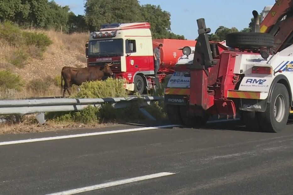 14-09-2016_12_45_08 00E48315.jpg