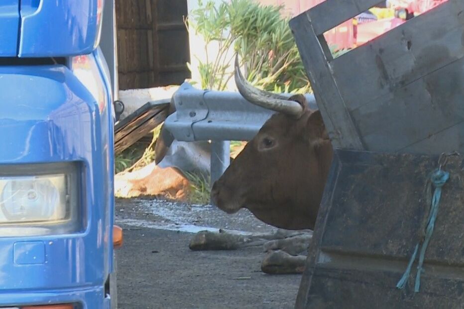 14-09-2016_12_45_24 00E4832C.jpg