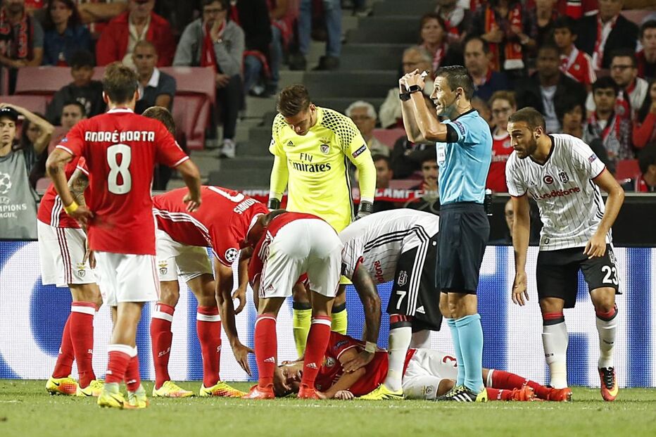 Benfica, Liga dos Campeões, Talisca, Gonçalo Guedes, Rui Vitória, Salvio, André Horta, Marcelo, Ederson, Aboubakar, Quaresma, futebol