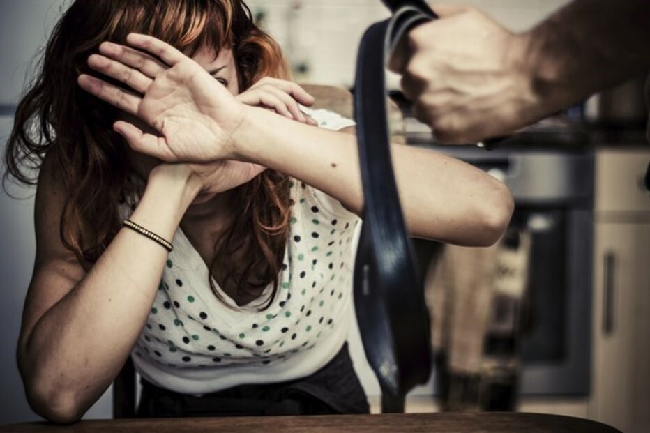 Serviço de Teleassistência a Vitimas de Violência Doméstica, Ministério Público, Cruz Vermelha Portuguesa, Observatório de Mulheres Assassinadas, União de Mulheres Alternativa e Resposta, UMAR, questões sociais, crime, lei e justiça, política