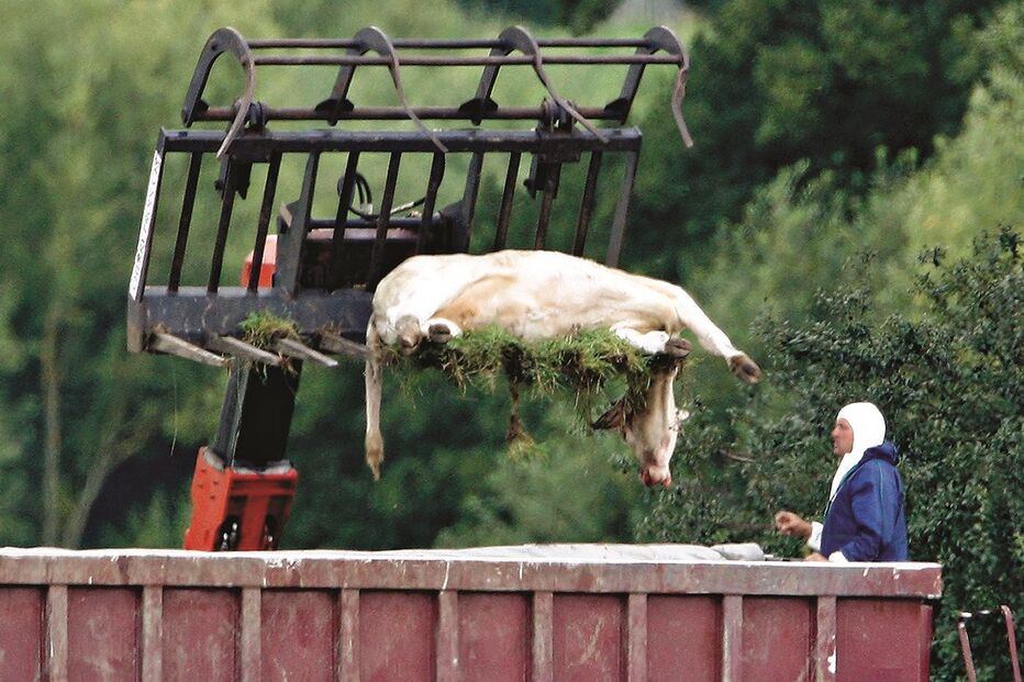 22-09-2016_03_32_40 Imagem 16a.jpg