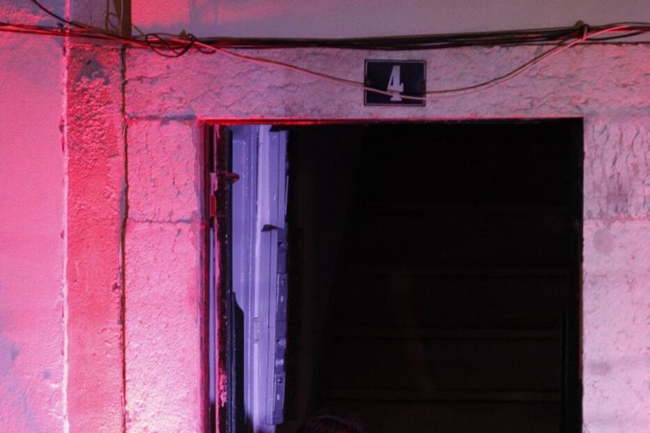 Gisela João, Alfama, festa, fadistas, fado