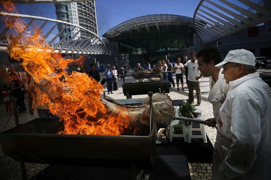 Suinicultores, porco, fundos, setor, carne