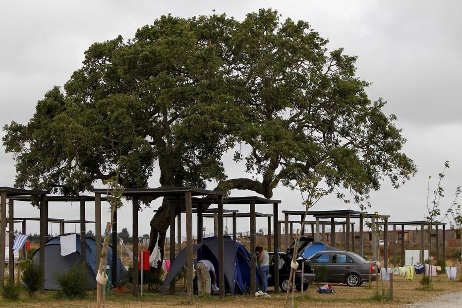 25-09-2016_11_25_47 M2-7263172.JPG