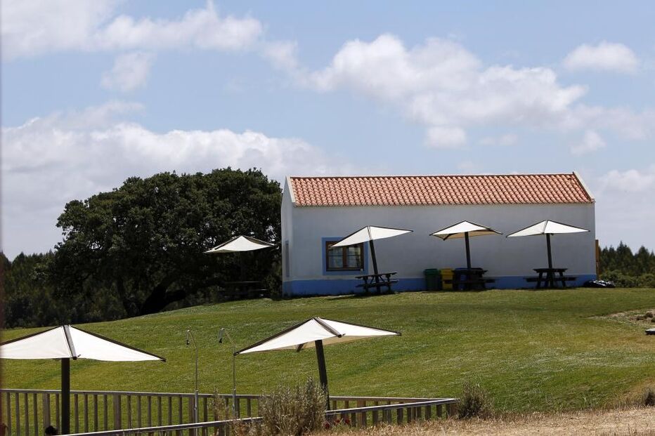 25-09-2016_11_25_52 M2-7263189.JPG