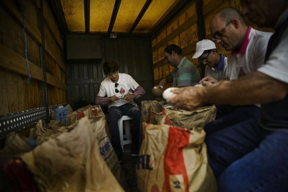 Suinicultores, porco, fundos, setor, carne