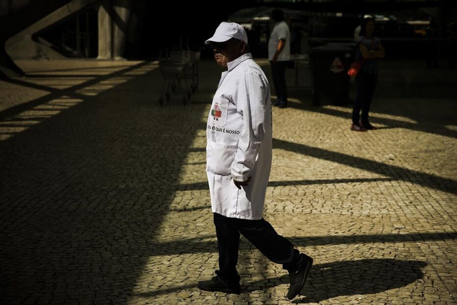 Suinicultores, porco, fundos, setor, carne