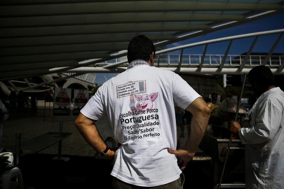 Suinicultores, porco, fundos, setor, carne