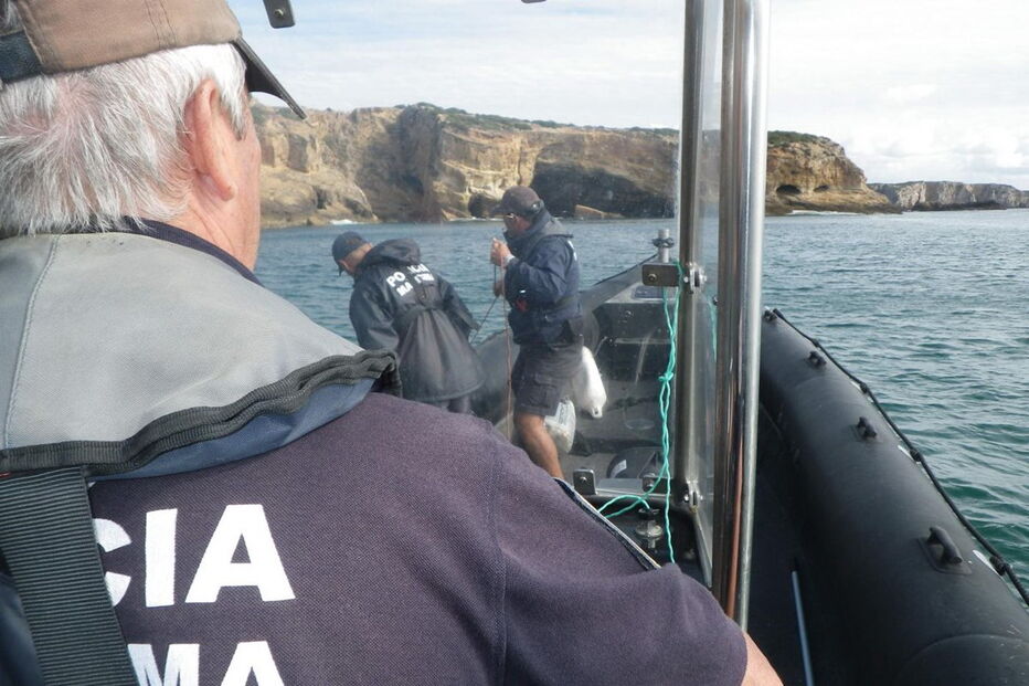 Polícia Marítima, Tavira, apreensão, peixe, Autoridade Marítima Nacional, crime, lei e justiça, polícia
