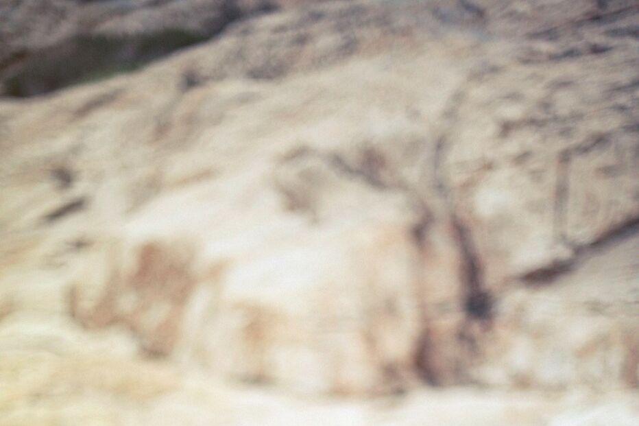 Sara Coelho, Playboy, produção fotográfica